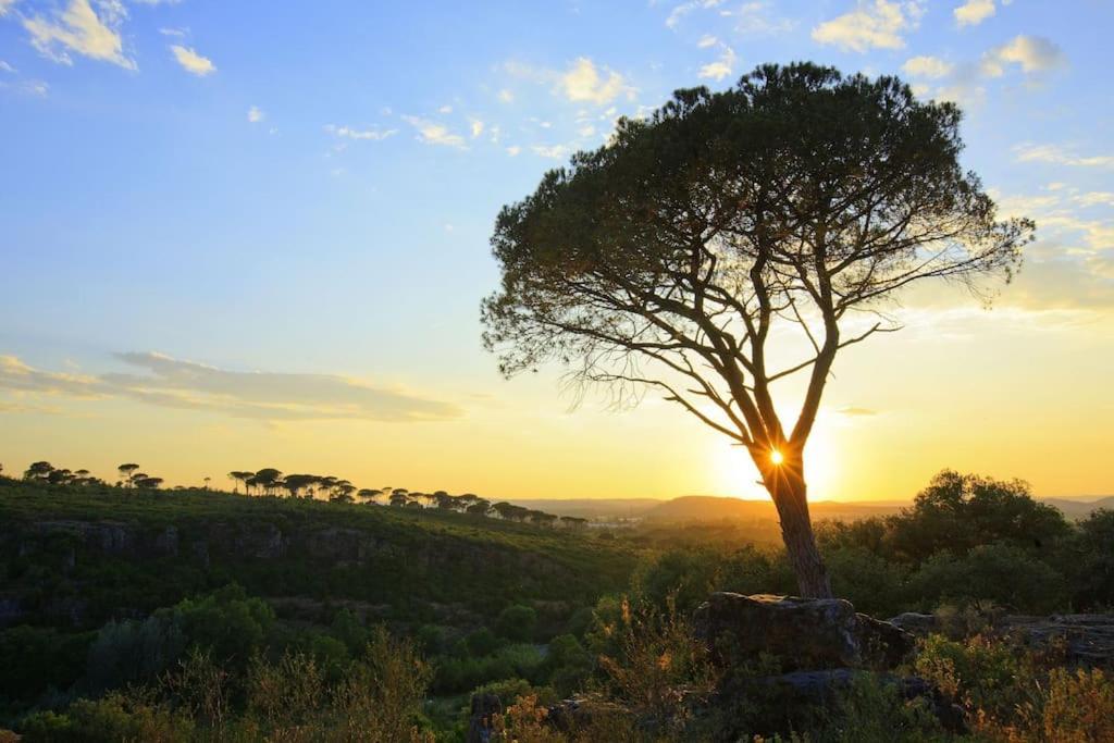 Orange Sunset Leilighet Draguignan Eksteriør bilde